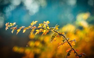 Какая погода ждет казахстанцев в выходные дни