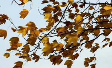 Штормовое предупреждение объявлено в Казахстане на 20 октября