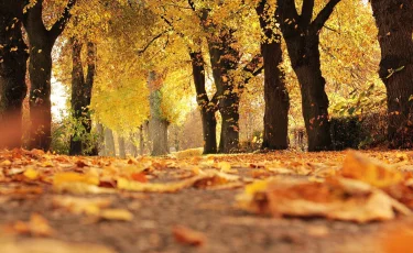 Погода в Казахстане 22 октября: на юге до +25, на западе возможны дожди