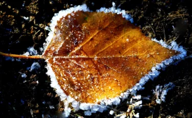 Какой будет погода в Казахстане 23 октября