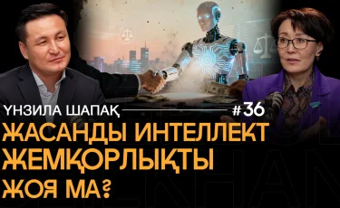 Закон об искусственном интеллекте: как он защищает граждан и кто ответит за ошибки ИИ — Унзила Шапак