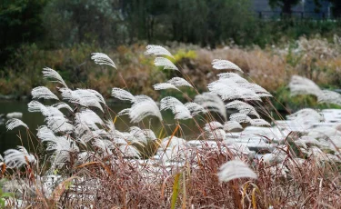 Штормовое предупреждение объявили в 15 регионах Казахстана