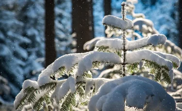 Снег и похолодание: прогноз погоды на 5 ноября по Казахстану