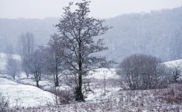 Снег, дождь и порывистый ветер: север и восток готовятся к непогоде 27 ноября