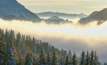 Синоптики рассказали о погоде в Казахстане на 28 ноября