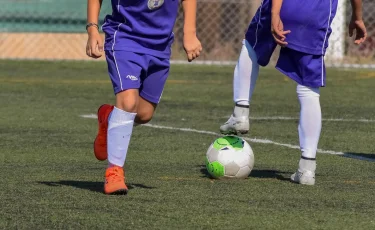 Платформа ArtSport прекращает работу с 1 января 2026 года