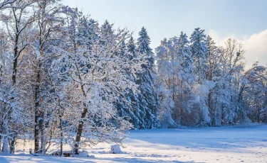 Сильный мороз накроет Казахстан: столбики термометров опустятся до -35°С