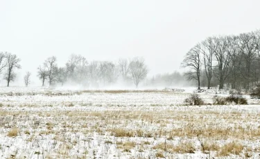 Сильный ветер, снег и гололёд ожидаются в Казахстане 15 декабря