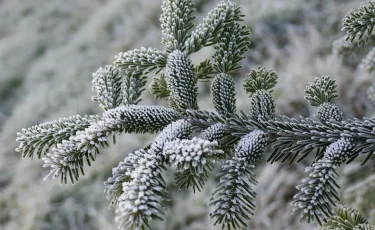 Какая погода ждет казахстанцев на выходных