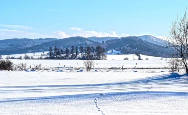 Сильные морозы сохранятся: прогноз погоды на 19 января по Казахстану