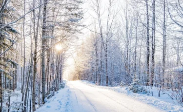 Какая погода ждет казахстанцев 29 января