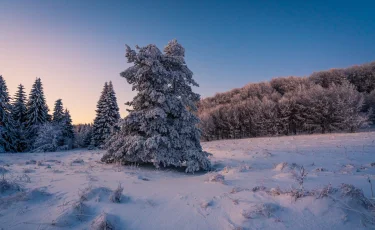 Какая погода ждет казахстанцев на выходных