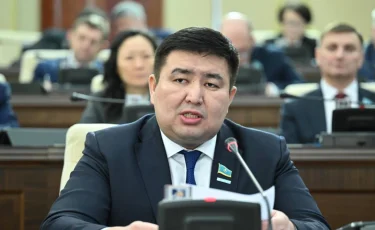 Елнур Бейсенбаев сложил полномочия депутата мажилиса