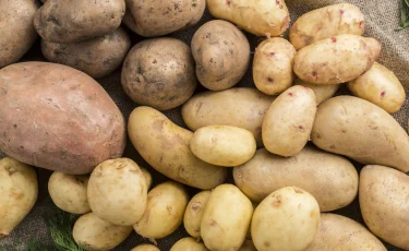 Картофель дорожает: Минсельхоз объяснил, откуда ждать овощи и по какой цене
