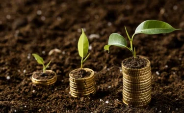 Аграрии ждут миллионы: почему в Казахстане возникают долги по субсидиям