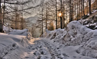 В начале марта в Казахстане ожидаются метели и гололёд