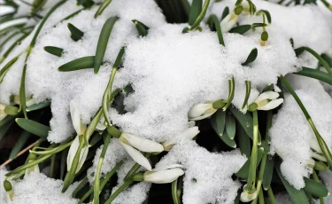 Когда казахстанцы почувствуют потепление?