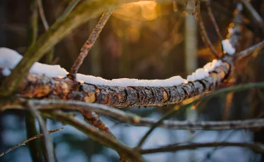 Антициклон принесет потепление в Казахстан