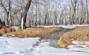В Казахстане потеплеет до +20 градусов, но погода останется неустойчивой