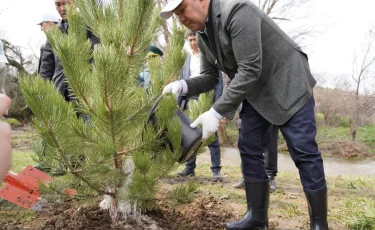 QR-код, цифрландыру және 1 млн ағаш: Түркістан облысында бұлақтарды сақтау үшін тың әдіс қолға алынды