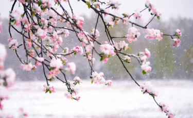 Қар, жаңбыр, көктайғақ: Қазгидромет ауа райына байланысты маңызды ескерту жасады