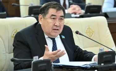 «Ойына келген шариғатын шатып отырады»: Депутат әсіредіншілдерге ескерту жасады