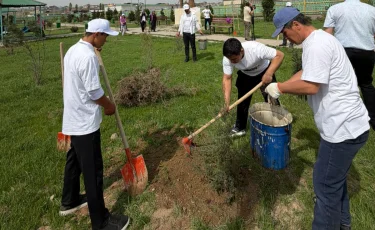 Түркістан облысында «Таза Қазақстан» жобасы аясында көгалдандыру жұмыстары жүргізілді