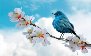 Туман и тепло до +29°C ожидаются в Казахстане 3 апреля