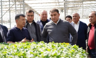 «Жылыжай – тек табыс көзі емес, үлкен жауапкершілік»:Түркістан облысының әкімі экологиялық талаптарды сақтау қажеттігін ескертті