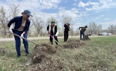 В Жетісу вывезли тысячи тонн мусора и высадили десятки тысяч деревьев