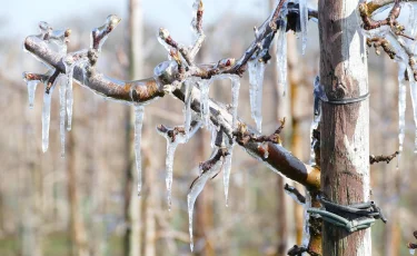 Штормовое предупреждение: на Казахстан надвигаются грозы и похолодание