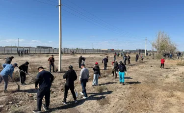 «Тағзым орны таза болсын»: Қызылордада киелі орындармен көпшілік зират ететін аймақтар көгалдандырылды
