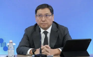 Ерболат Досаев лишился еще одной должности