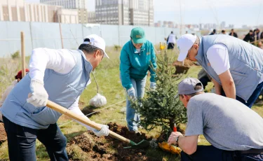 Елордада дәрігерлер, коммуналдық қызметкерлер және ұстаздар бірлесіп ағаш отырғызды