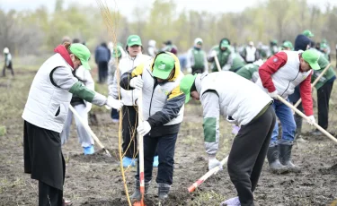 Таза Қазақстан: Оралда 1000 түп ағаш көшеті отырғызылды