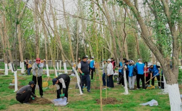Қызылорда облысында 12 мың ағаш егілді