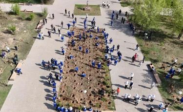 Ұлытау облысында бір күнде мың жарым ағаш егілді