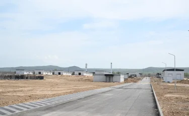 Жетісуда тазы және төбет ит тұқымдарын өсіру орталығы салынып жатыр