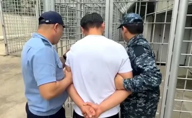 В Шымкенте грузовик насмерть сбил 11-летнего мальчика на пешеходном переходе