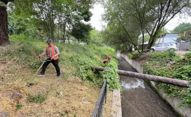 Алматыдағы жалпықалалық сенбілікке 7 мыңнан астам адам қатысты
