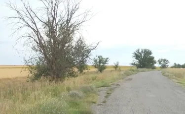 Пятеро детей из одной семьи погибли в ДТП в Туркестанской области