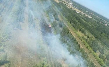 Қазақстанда бір тәулікте бес орман өрті шықты