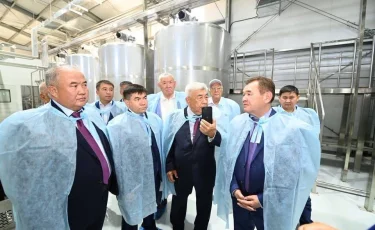 Аралдың ақ алтыны: Жоғары сұрыпты ас тұзын өндіретін жаңа зауыт ашылды