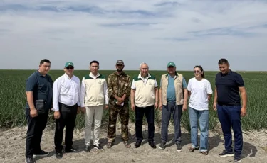 «Ауыл» партиясы отандық өндірісті, ауыл кәсіпкерлерін және еңбек адамын қолдайды