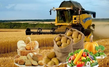 Экспортный рывок отечественного АПК