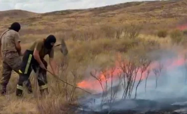 Два человека пострадали во время степного пожара в Карагандинской области