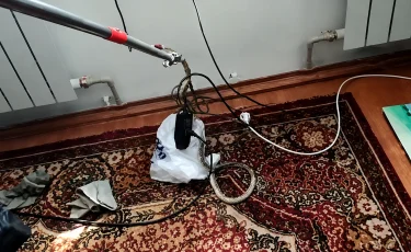 Леңгірде үй ішінен жылан шығып жұртты шошытты (ВИДЕО)
