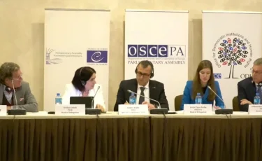 Открытость избирательного процесса: позитивные оценки миссии БДИПЧ ОБСЕ