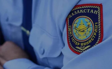 Қордайда жаңа туған сәбиін қоқысқа тастаған әйел ұсталды